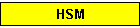 HSM