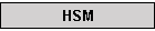 HSM