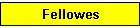 Fellowes